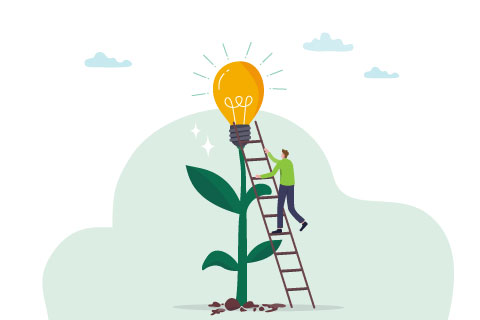 Creativity idea, solution or persuade success, climb up career ladder or business growth, improvement progress, personal development concept, businessman climb up ladder to reach lightbulb grow plant.